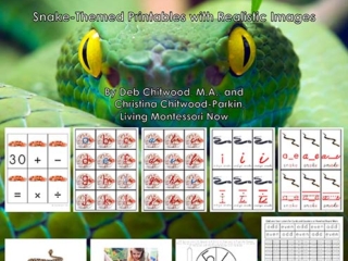 Montessori-Inspired Snake Pack