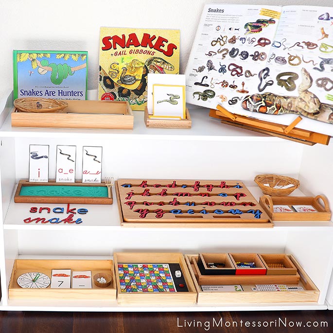 Montessori Shelves with Snake-Themed Activities
