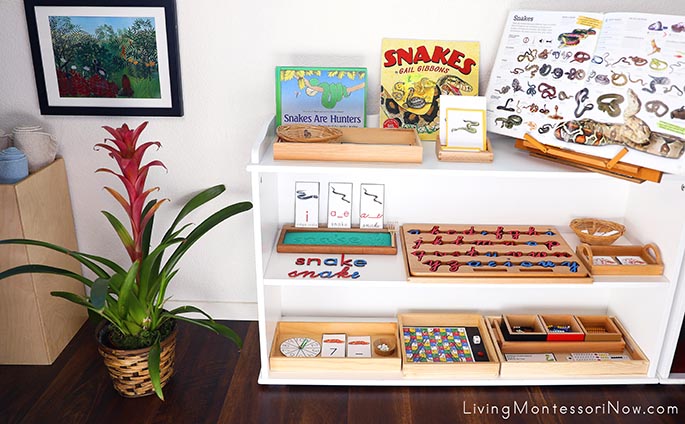 Montessori Shelves with Snake-Themed Activities and Henri Rousseau Art Print