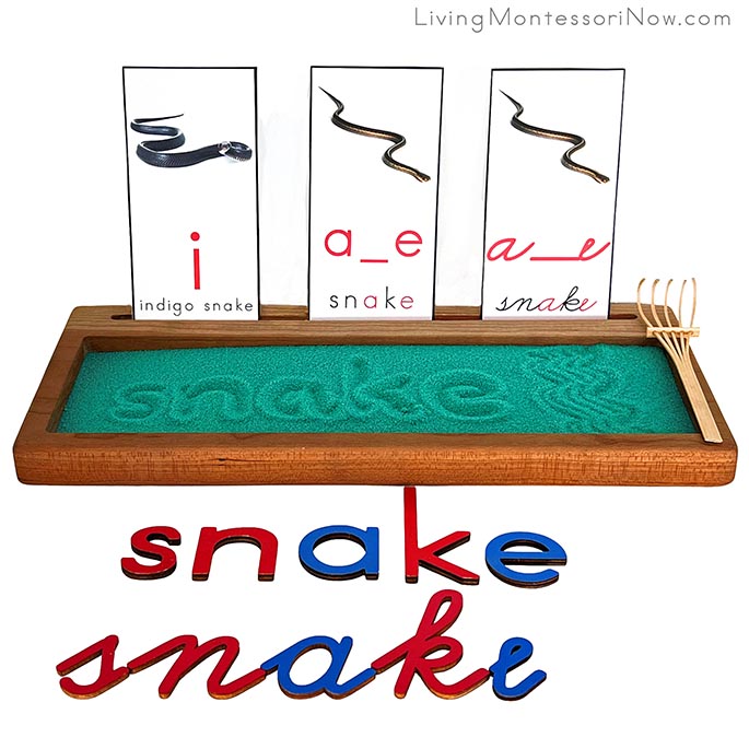 Snake Sand Writing Tray