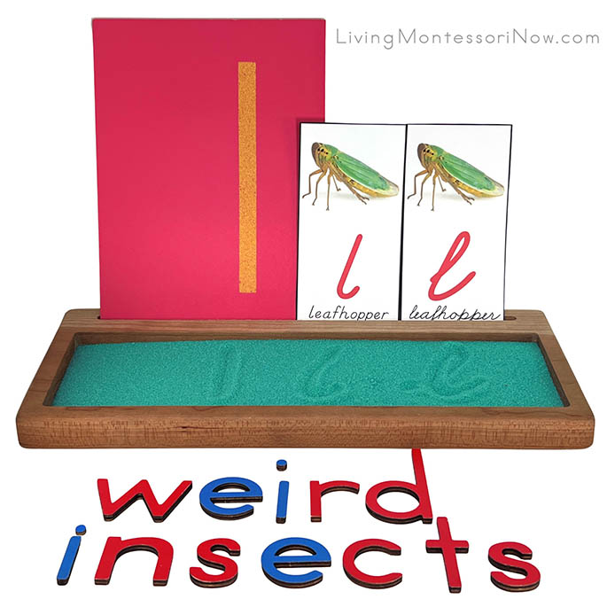 L for Leafhopper Salt Writing Tray for a Weird Insect Theme