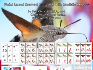 Montessori-Inspired Weird Insect Pack