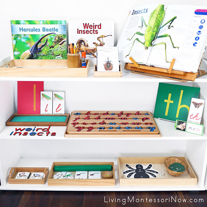 Montessori Shelves with Noisy Insect Themed Activities
