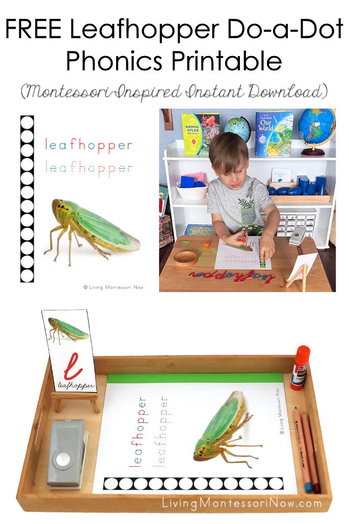 FREE Leafhopper Do-a-Dot Phonics Printable
