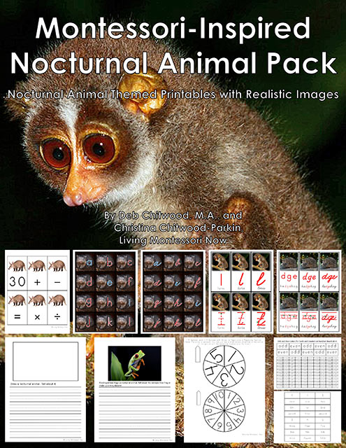 Free Nocturnal Animal Printables and Montessori-Inspired Nocturnal Animal  Activities - Living Montessori Now