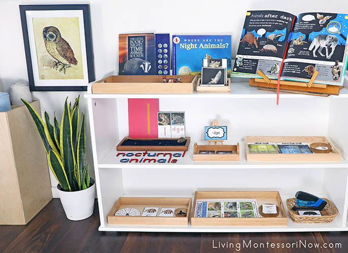 Montessori Shelves with Nocturnal Animal Themed Activities and The Little Owl Art Print