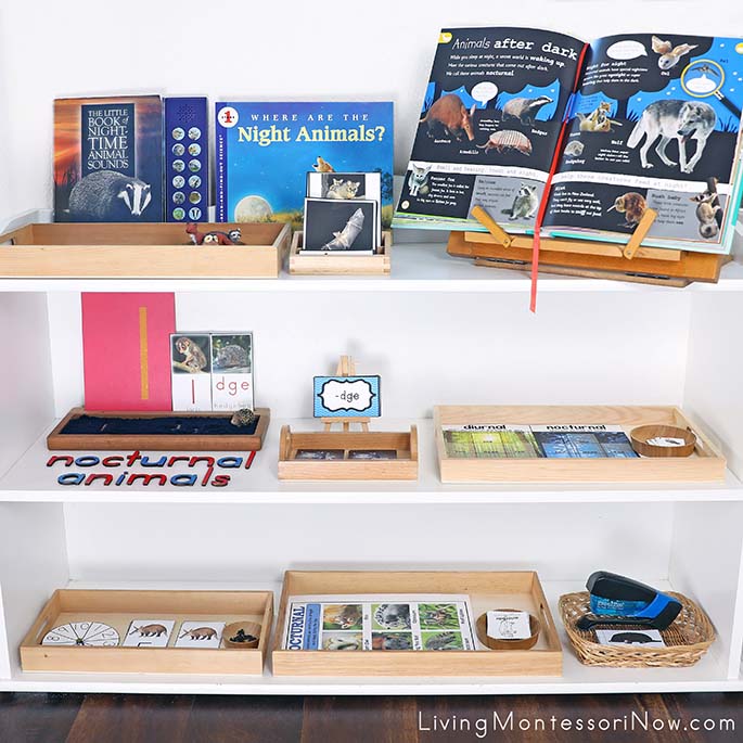 Montessori Shelves with Nocturnal Animal Themed Activities