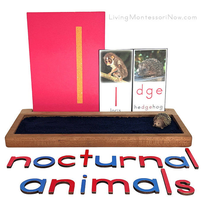 Nocturnal Animals Sand Writing Tray and Movable Alphabet Spelling