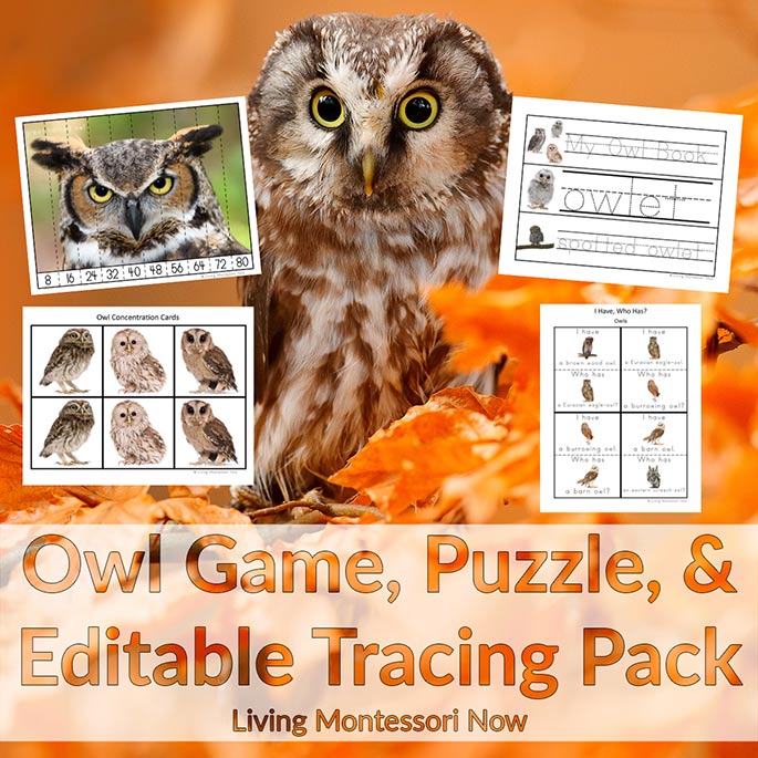 Owl Game, Puzzle, and Editable Tracing Pack in Print