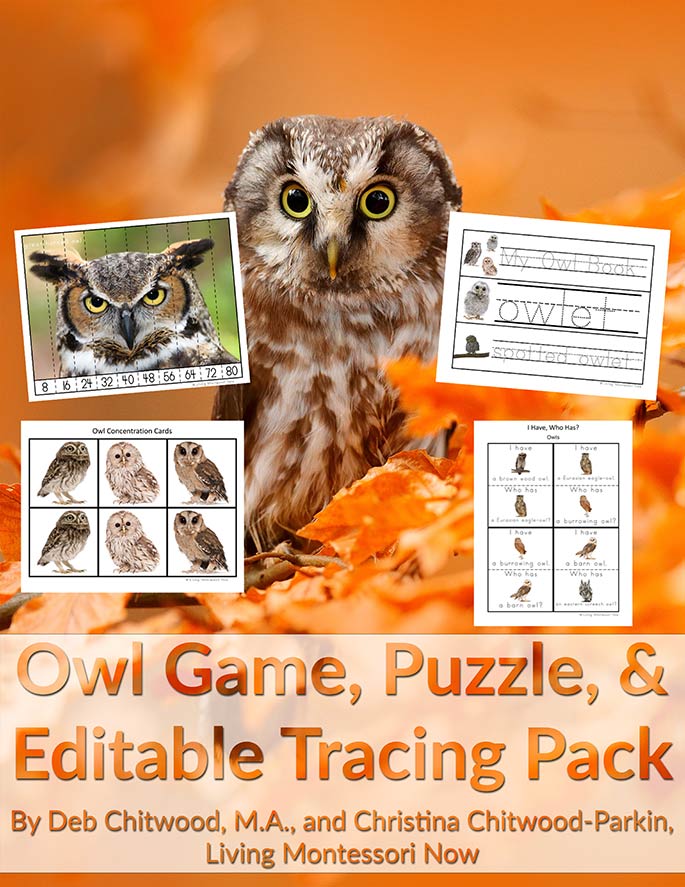 Owl Game, Puzzle, and Editable Tracing Pack