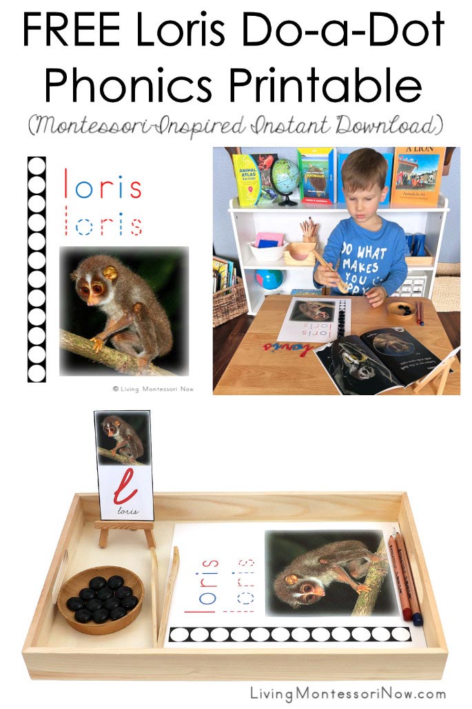 FREE Loris Do-a-Dot Phonics Printable (Montessori-Inspired Instant Download)