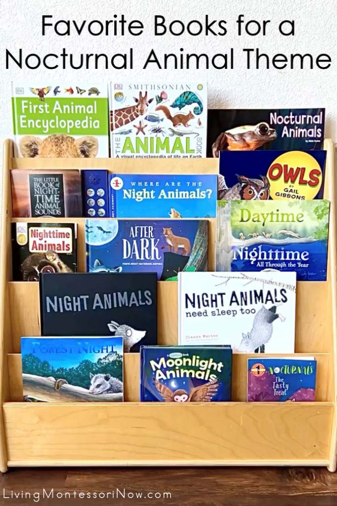 Favorite Books for a Nocturnal Animal Theme