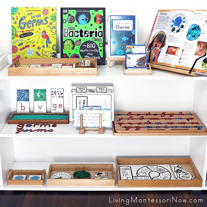 Montessori Shelves with Germ-Themed Activities