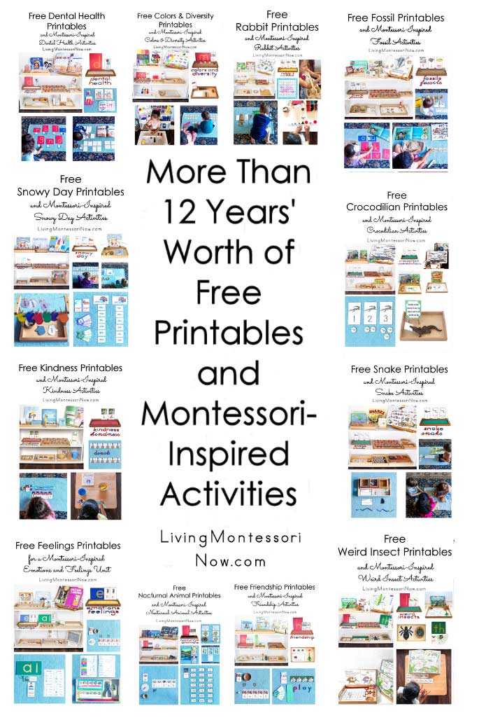 More Than 12 Years' Worth of Free Printables and Montessori-Inspired Activities