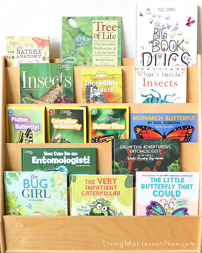 Books for a Caterpillar to Butterfly Unit