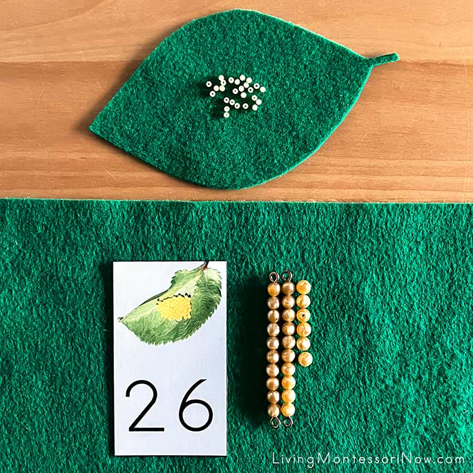 Butterfly Egg Number Cards with Montessori Golden Bead Extension