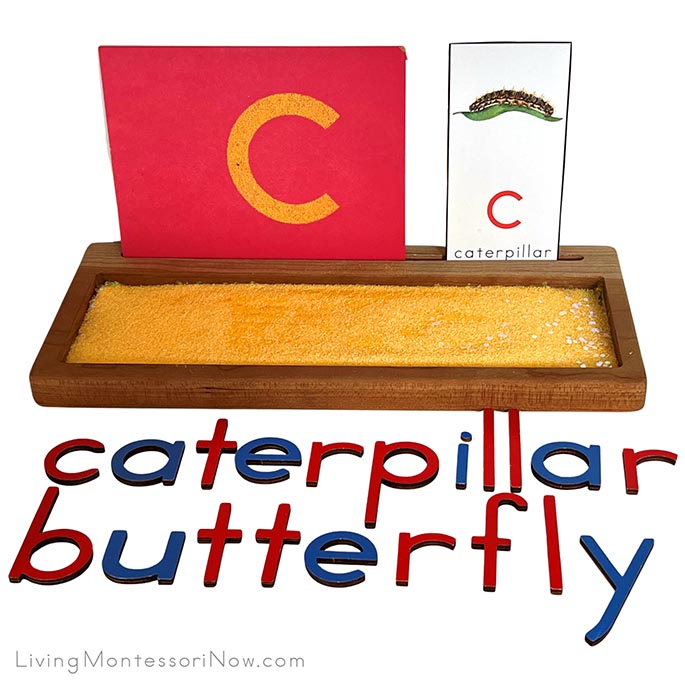 Caterpillar to Butterfly Sand Writing Tray