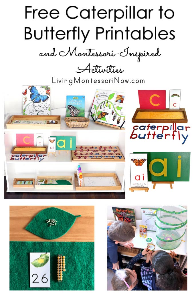 Free Caterpillar to Butterfly Printables and Montessori-Inspired Activities