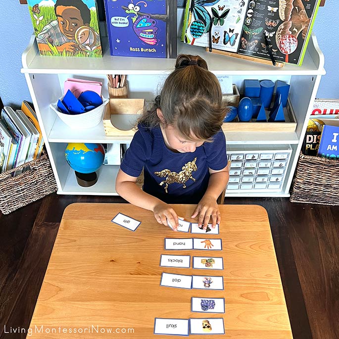 Matching Blue Series Word and Picture Cards
