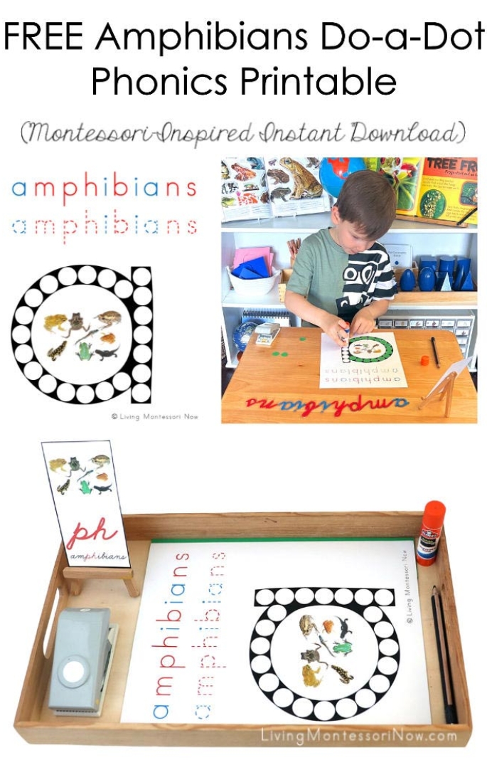 FREE Amphibians Do-a-Dot Phonics Printable (Montessori-Inspired Instant Download)