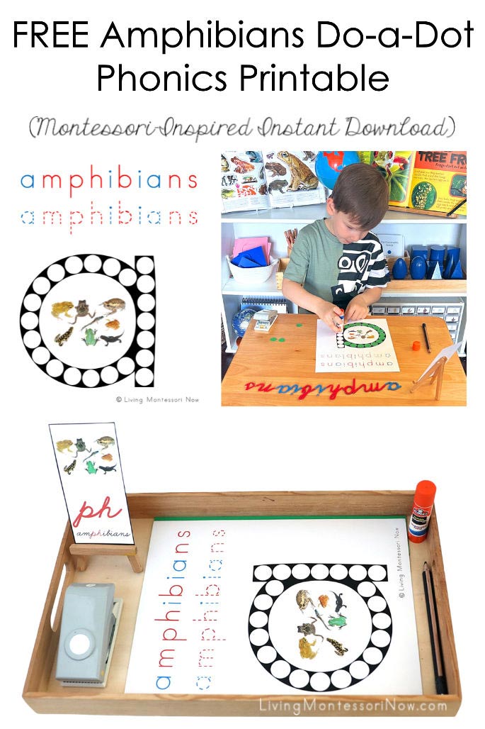 FREE Amphibians Do-a-Dot Phonics Printable (Montessori-Inspired Instant Download)