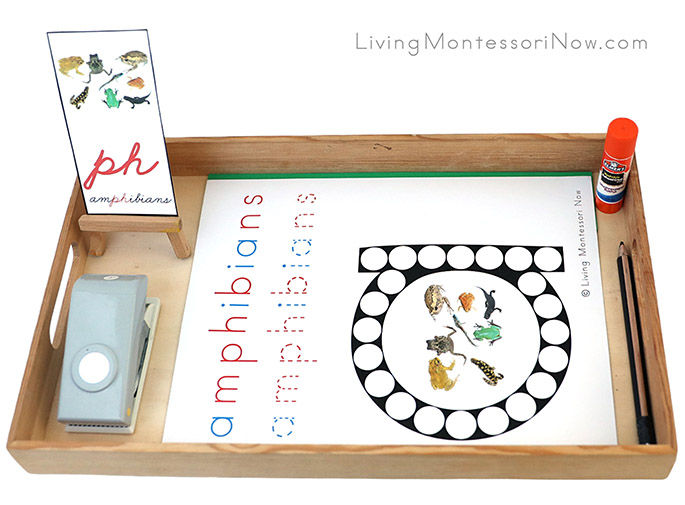 Tray with Amphibians Do-a-Dot Printable and Circle Punch