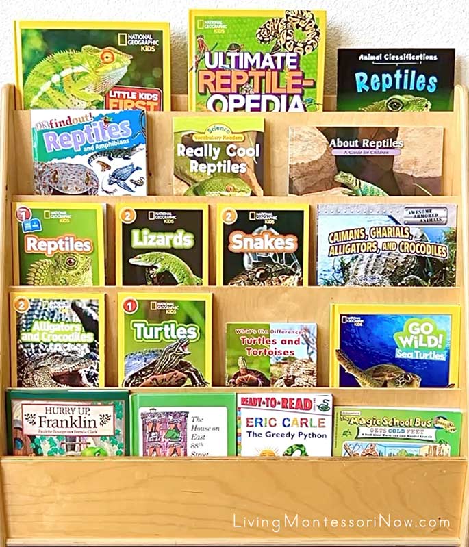 Books for a Reptile Theme