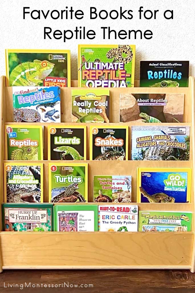 Favorite Books for a Reptile Theme