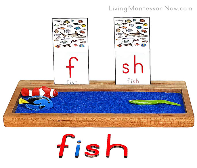 Fish Sand Writing Tray with Movable Alphabet Spelling
