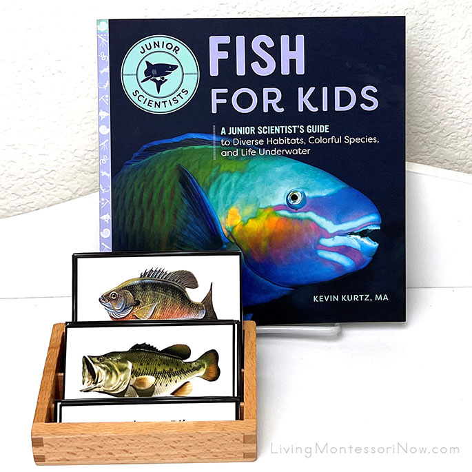 Fish for Kids Book with Freshwater Fish 3-Part Cards