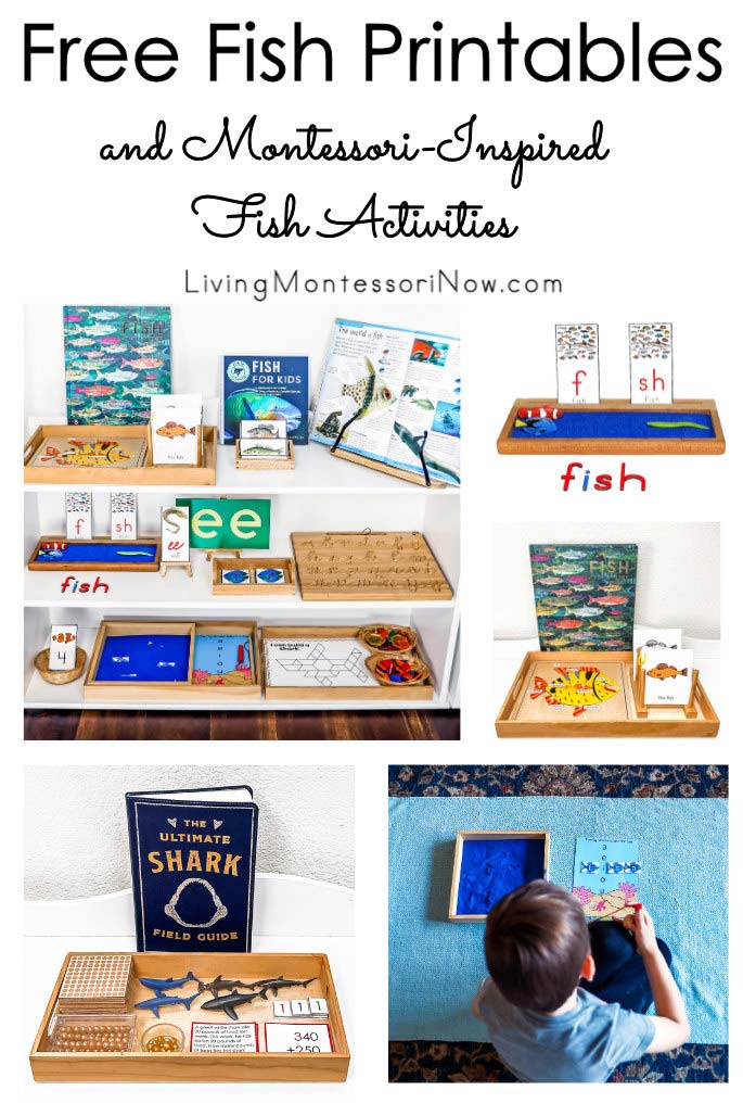 Free Fish Printables and Montessori-Inspired Fish Activities