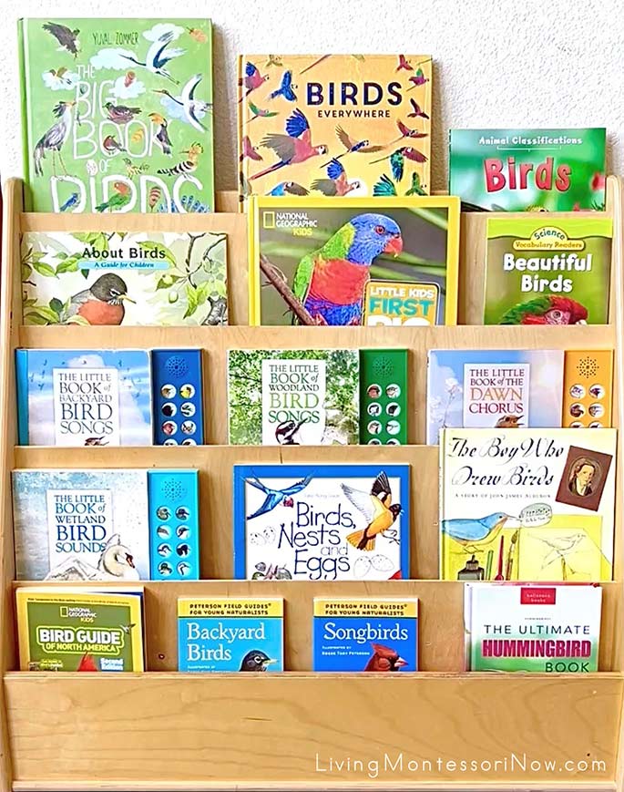 Books for a Bird Theme