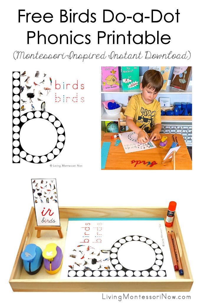 FREE Birds Do-a-Dot Phonics Printable (Montessori-Inspired Instant Download)