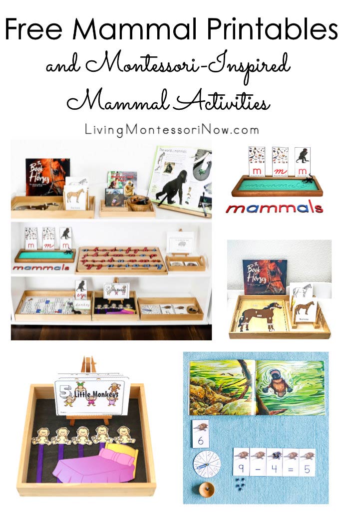 Free Mammal Printables and Montessori-Inspired Mammal Activities