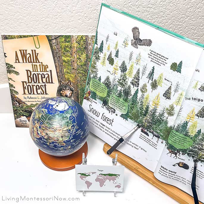 A Walk in the Boreal Forest, Taiga Map and Images, and Pages from The Magic & Mystery of Trees