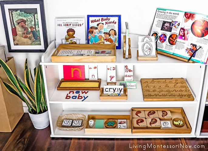 Montessori Shelves with New Baby Themed Activities and Max Bohm Art Print