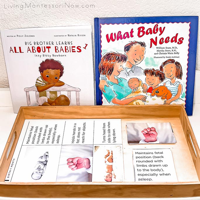 New Baby Books with Baby Motor Development Matching Activity