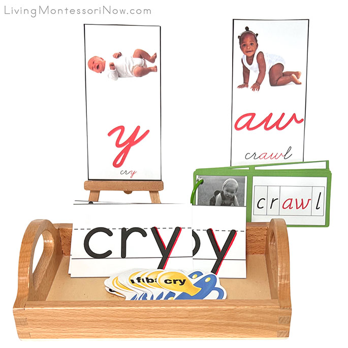 Phonogram Activities for y in Cry and aw in Crawl
