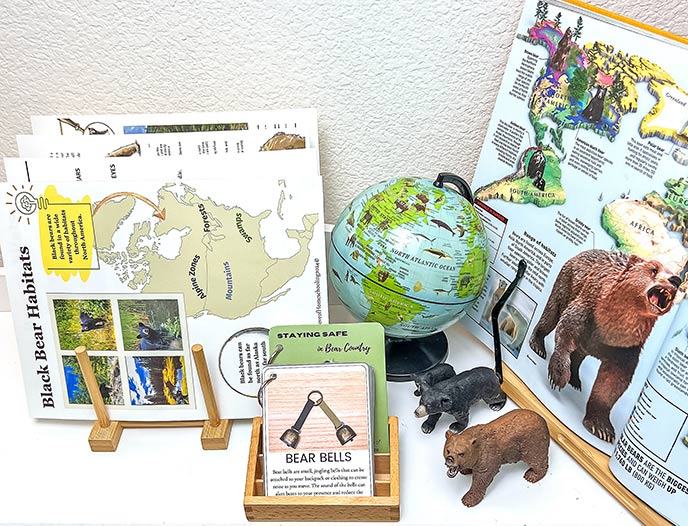 Bear-Themed Materials