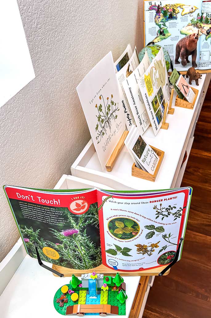 Danger Plant Pages from Discovering Plants and Flowers with Nature Hunt Cards and Bear-Themed Materials in the Background