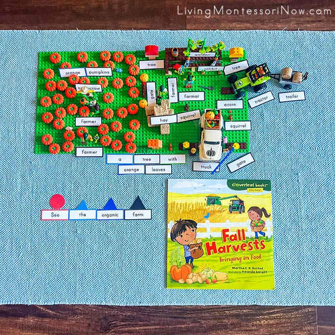 Editable Montessori Grammar Labels Used with Miniature Fall Organic Farm