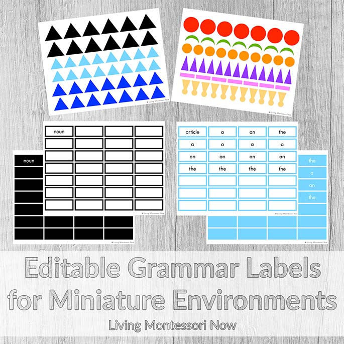 Editable Montessori Grammar Labels in Print
