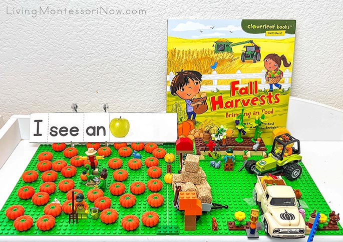 Fall Harvests Book with Miniature Environment and Sentences Fall Harvests Book with Miniature Environment and Sentences