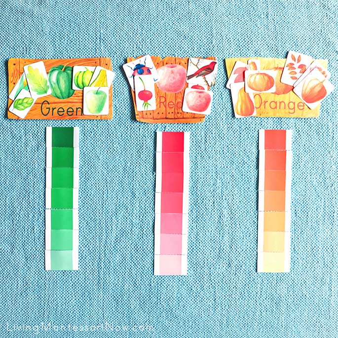 Harvest Color Sorting and Color Grading Harvest Color Sorting and Color Grading