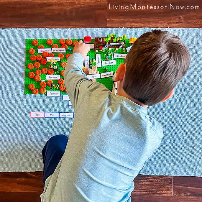 Working with Editable Montessori Grammar Labels Used with Miniature Fall Organic Farm