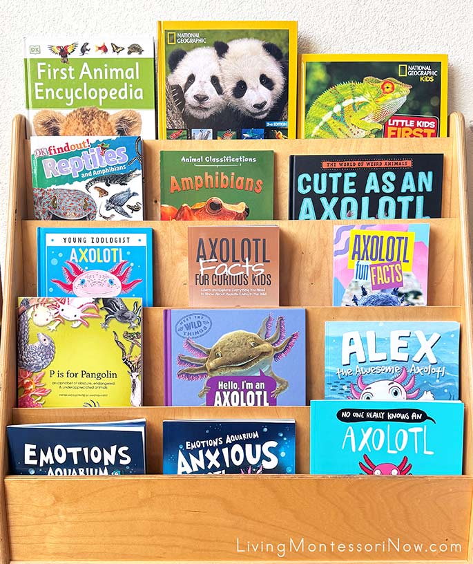 Books for an Axolotl Theme
