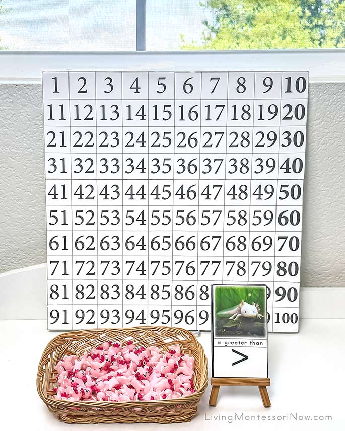 Large DIY Hundred Board with Axolotl Greater Than, Less Than Activity