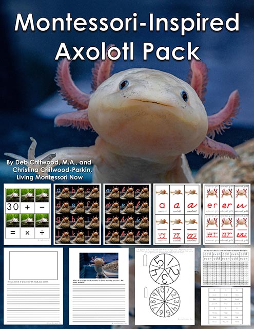 Montessori-Inspired Axolotl Pack