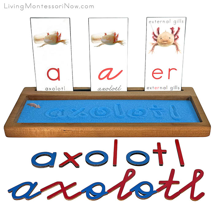 Sand Writing Tray for an Axolotl Theme