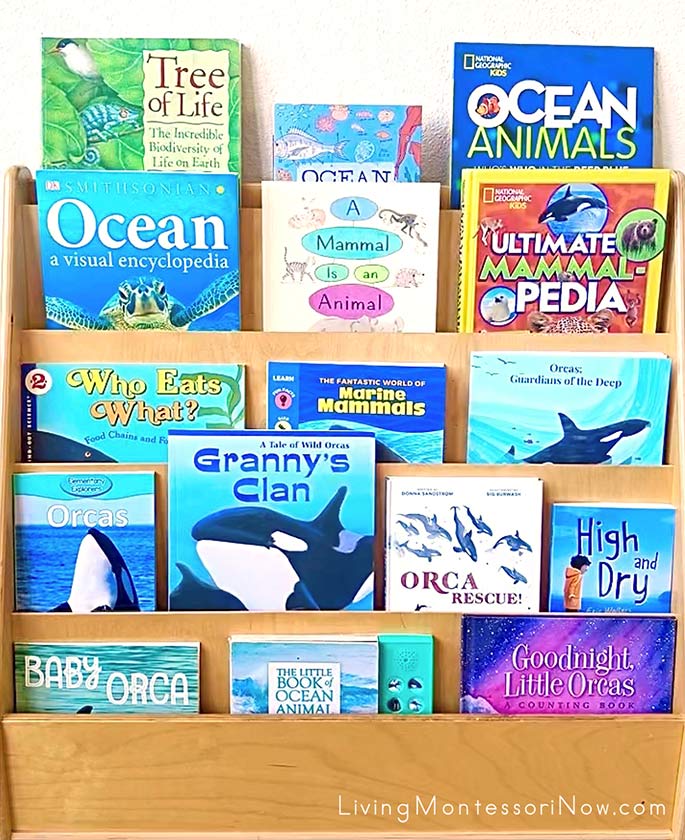 Books for an Orca Theme